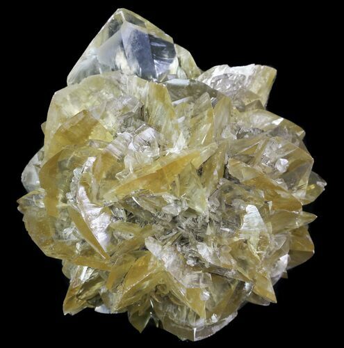 Twinned Selenite Crystals (Fluorescent) - Red River Floodway #64528